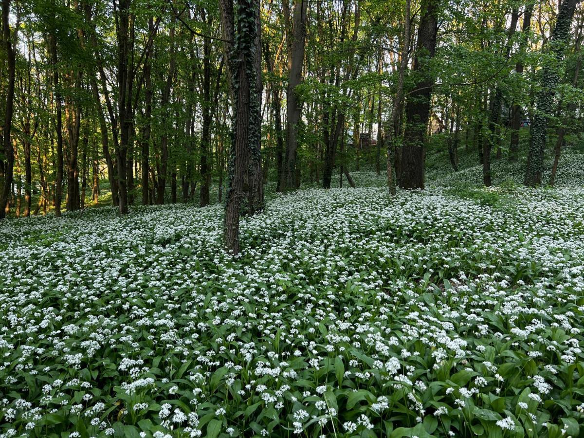 Heart-A-Land Vendeghaz Villa Magyarhertelend Kültér fotó